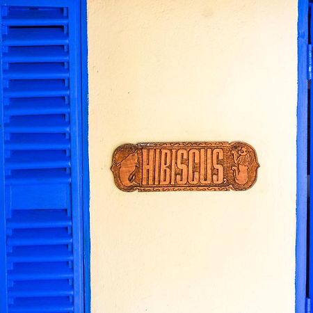 Hibiscus Beach House Pangani Exterior photo